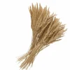 Dekozweigbündel – Natur – Stroh 7