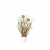 Grassortiment – Beige – 36 Cm Hoch 5