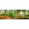Deco Panel WALD FRÜHLING – 30×90 Cm 5