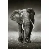 Deco Panel ELEFANT LAUFEND – 60×90 Cm 7